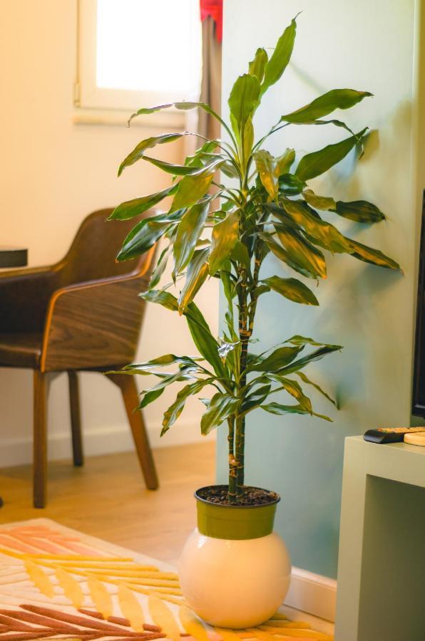 Bright Apartment Close To City Center Tiranë Ngoại thất bức ảnh